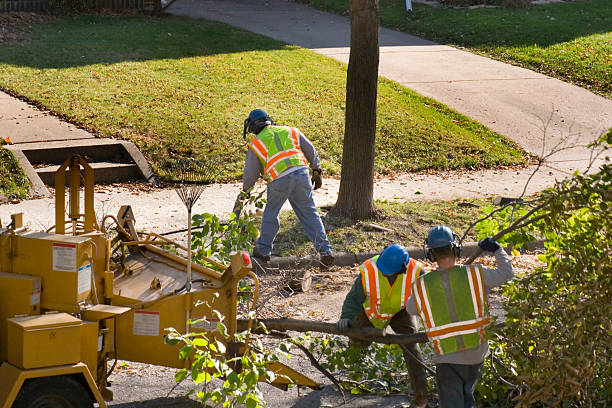 Soil Testing and Treatment in North Brooksville, FL